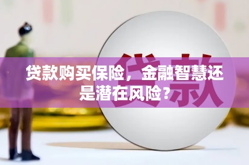 固镇贷款购买保险，金融智慧还是潜在风险？