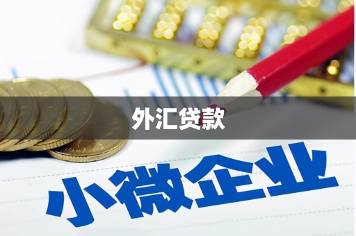 固镇外汇贷款
