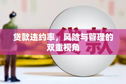 固镇贷款违约率，风险与管理的双重视角
