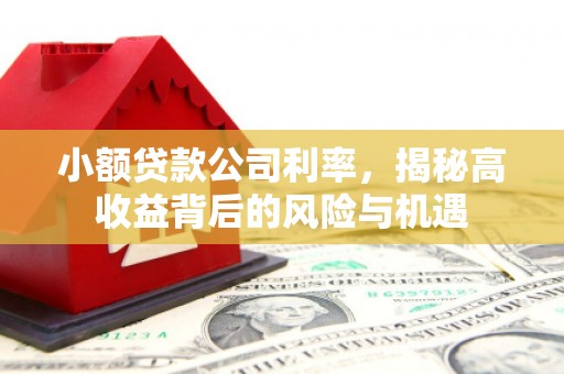 固镇小额贷款公司利率，揭秘高收益背后的风险与机遇