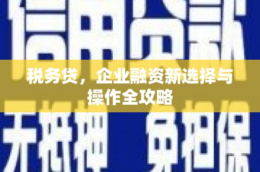 固镇税务贷，企业融资新选择与操作全攻略