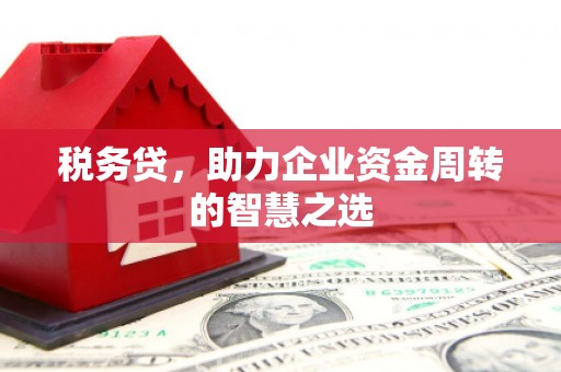 固镇税务贷，助力企业资金周转的智慧之选