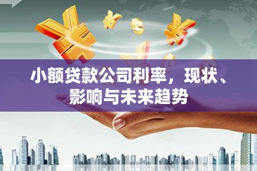 固镇小额贷款公司利率，现状、影响与未来趋势