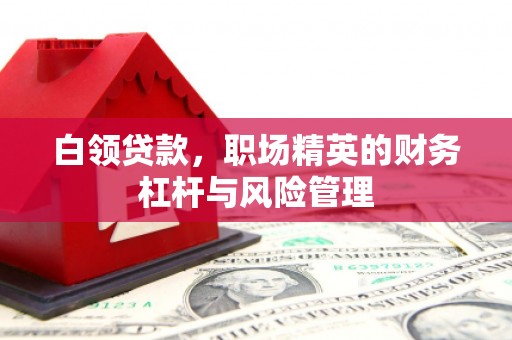 固镇白领贷款，职场精英的财务杠杆与风险管理