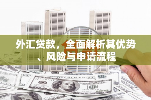 固镇外汇贷款，全面解析其优势、风险与申请流程