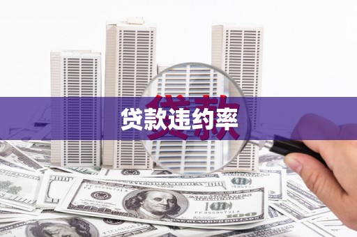 固镇贷款违约率