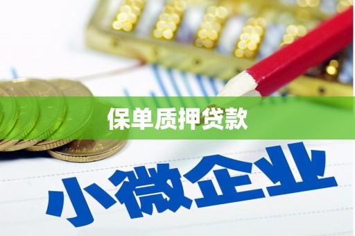 固镇保单质押贷款