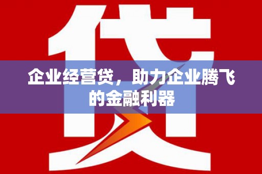 固镇企业经营贷，助力企业腾飞的金融利器