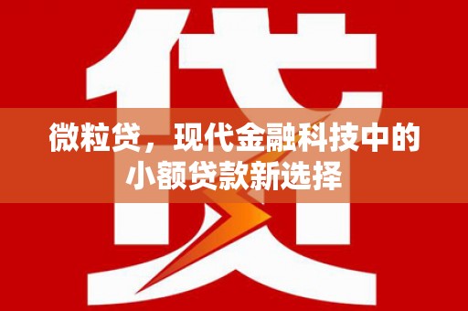 固镇微粒贷，现代金融科技中的小额贷款新选择