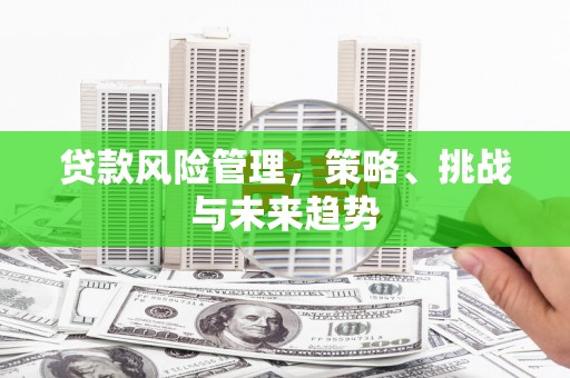 固镇贷款风险管理，策略、挑战与未来趋势
