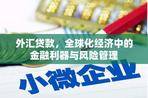 固镇外汇贷款，全球化经济中的金融利器与风险管理