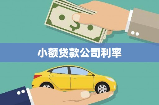 固镇小额贷款公司利率