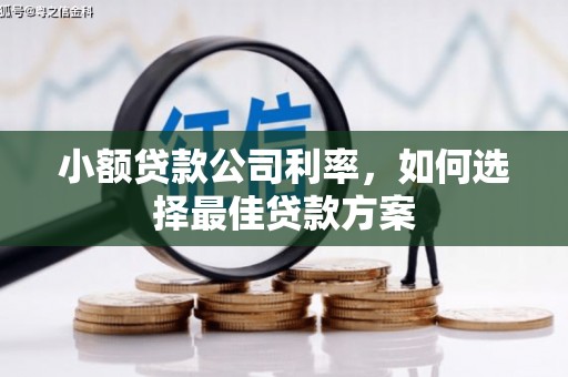 固镇小额贷款公司利率，如何选择最佳贷款方案