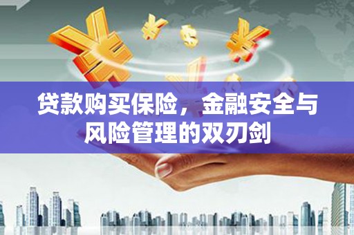 固镇贷款购买保险，金融安全与风险管理的双刃剑