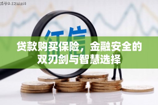 固镇贷款购买保险，金融安全的双刃剑与智慧选择