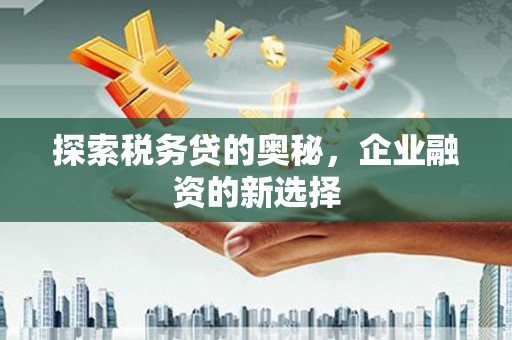 固镇探索税务贷的奥秘，企业融资的新选择