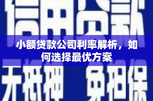 固镇小额贷款公司利率解析，如何选择最优方案