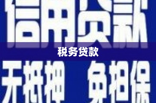 固镇税务贷款