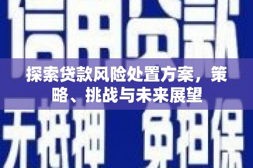 固镇探索贷款风险处置方案，策略、挑战与未来展望