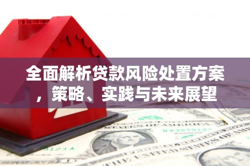 固镇全面解析贷款风险处置方案，策略、实践与未来展望
