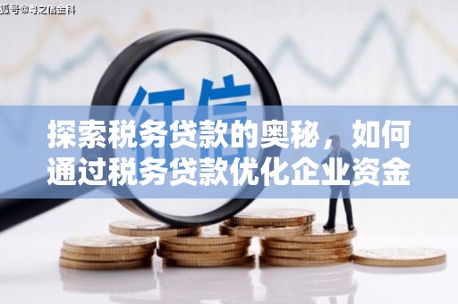 固镇探索税务贷款的奥秘，如何通过税务贷款优化企业资金流
