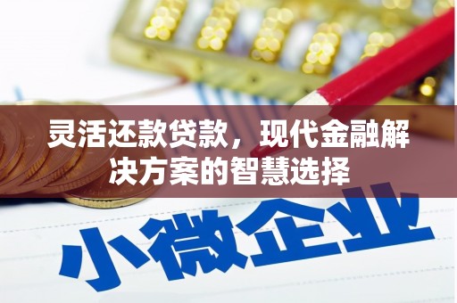 固镇灵活还款贷款，现代金融解决方案的智慧选择