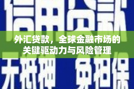 固镇外汇贷款，全球金融市场的关键驱动力与风险管理