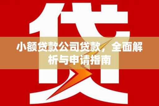 固镇小额贷款公司贷款，全面解析与申请指南