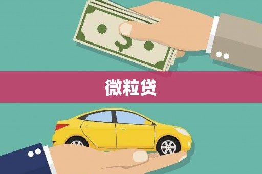 固镇微粒贷