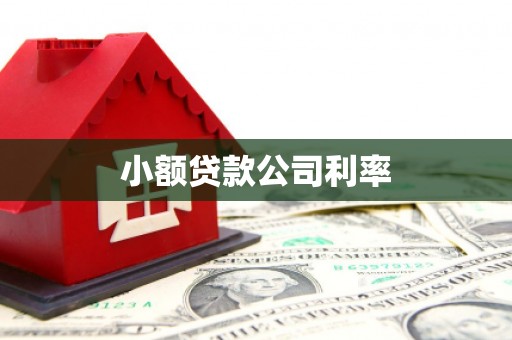 固镇小额贷款公司利率