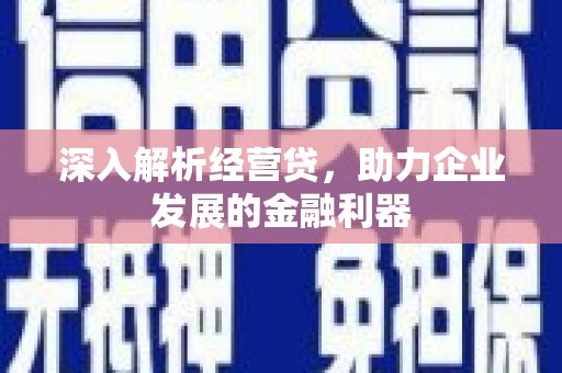 固镇深入解析经营贷，助力企业发展的金融利器