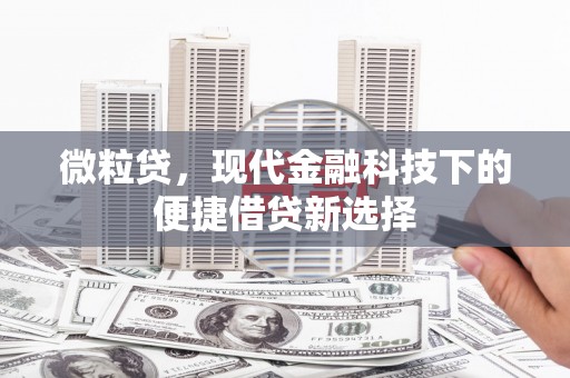 固镇微粒贷，现代金融科技下的便捷借贷新选择