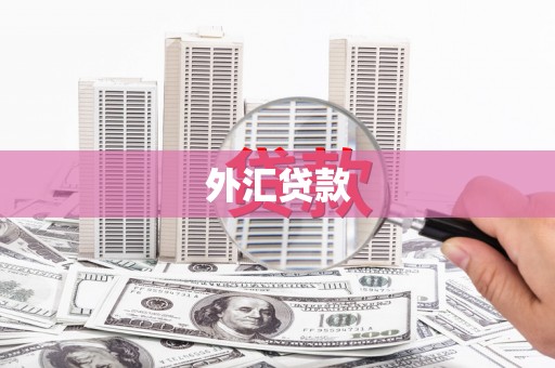 固镇外汇贷款