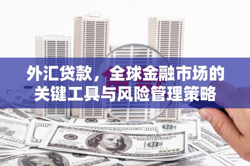 固镇外汇贷款，全球金融市场的关键工具与风险管理策略