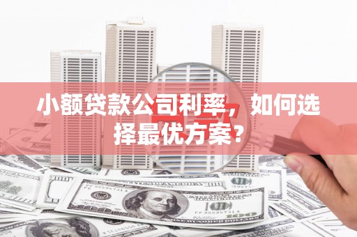 固镇小额贷款公司利率，如何选择最优方案？