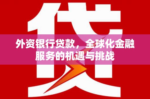 固镇外资银行贷款，全球化金融服务的机遇与挑战