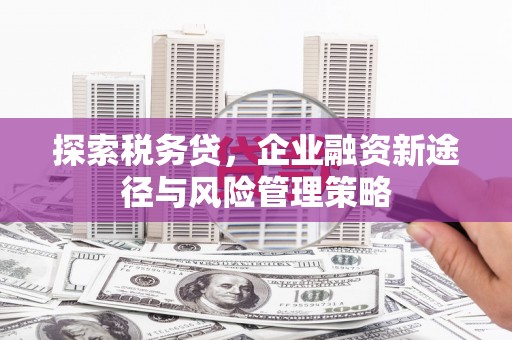 固镇探索税务贷，企业融资新途径与风险管理策略