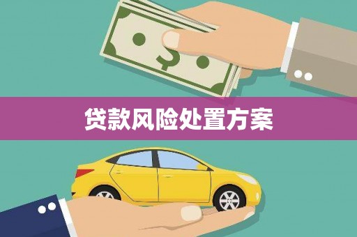 固镇贷款风险处置方案