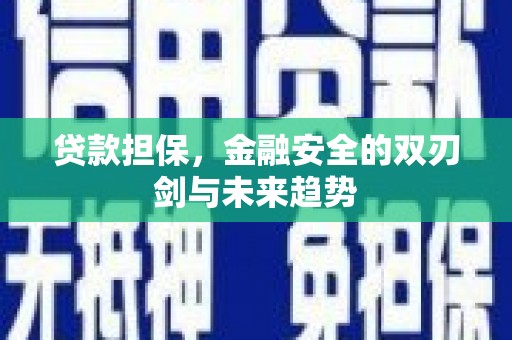 固镇贷款担保，金融安全的双刃剑与未来趋势