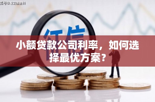 固镇小额贷款公司利率，如何选择最优方案？
