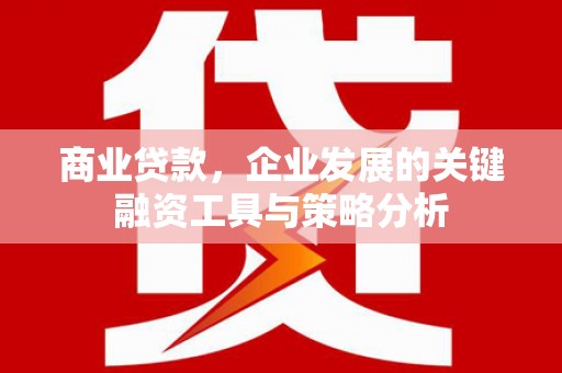 固镇商业贷款，企业发展的关键融资工具与策略分析