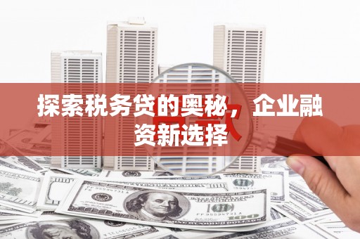 固镇探索税务贷的奥秘，企业融资新选择
