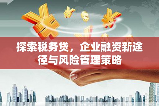 固镇探索税务贷，企业融资新途径与风险管理策略