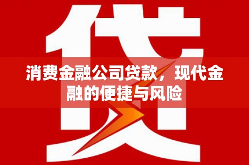 固镇消费金融公司贷款，现代金融的便捷与风险