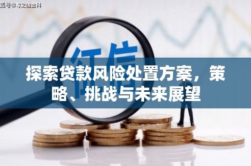 固镇探索贷款风险处置方案，策略、挑战与未来展望