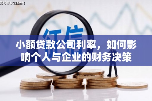 固镇小额贷款公司利率，如何影响个人与企业的财务决策