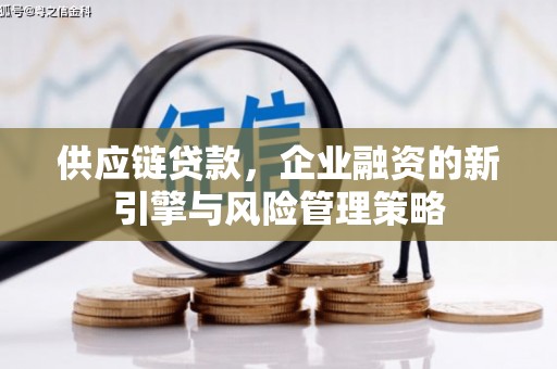固镇供应链贷款，企业融资的新引擎与风险管理策略
