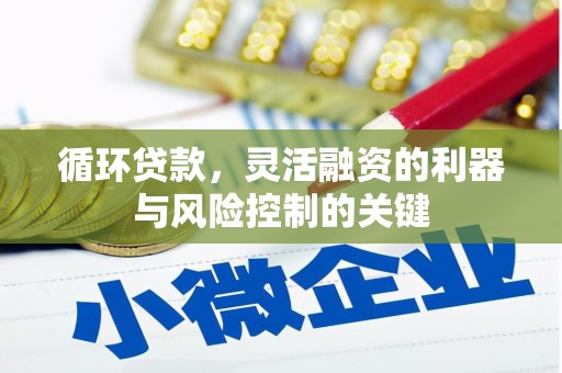 固镇循环贷款，灵活融资的利器与风险控制的关键