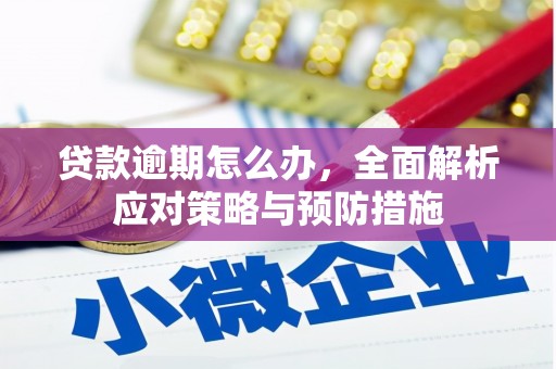 固镇贷款逾期怎么办，全面解析应对策略与预防措施