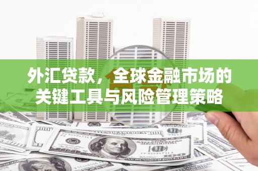 固镇外汇贷款，全球金融市场的关键工具与风险管理策略